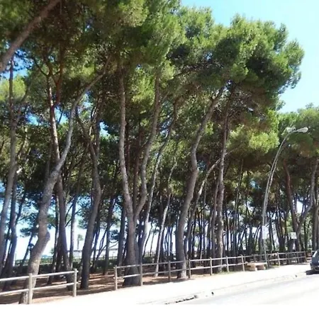 Lejlighed With Parking Near The Sea *